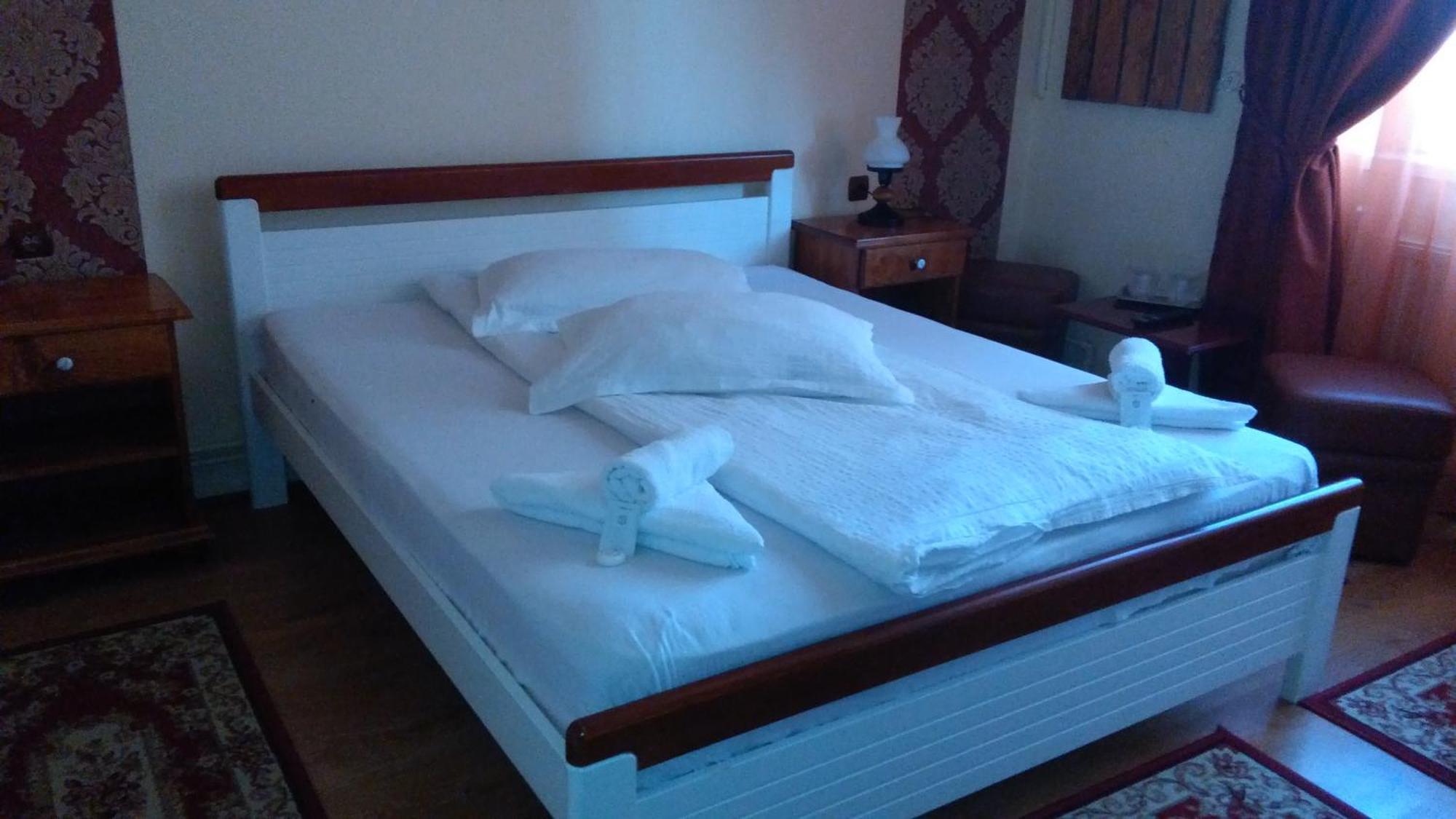Hotel Vila Nicoleta à Sibiu Extérieur photo