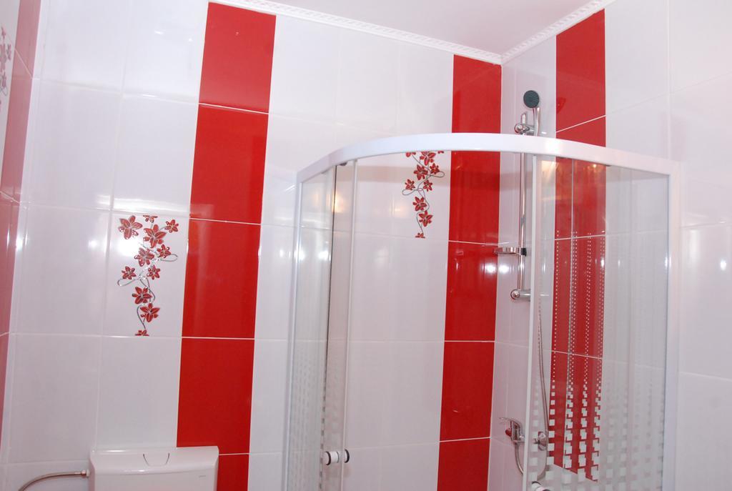 Hotel Vila Nicoleta à Sibiu Extérieur photo