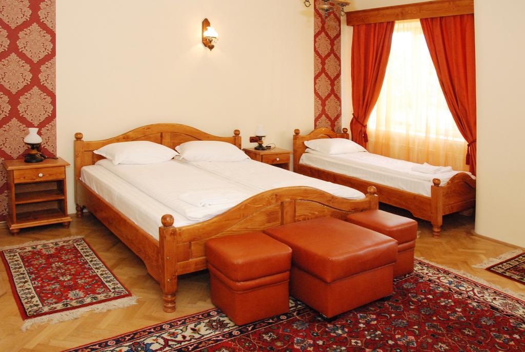 Hotel Vila Nicoleta à Sibiu Extérieur photo
