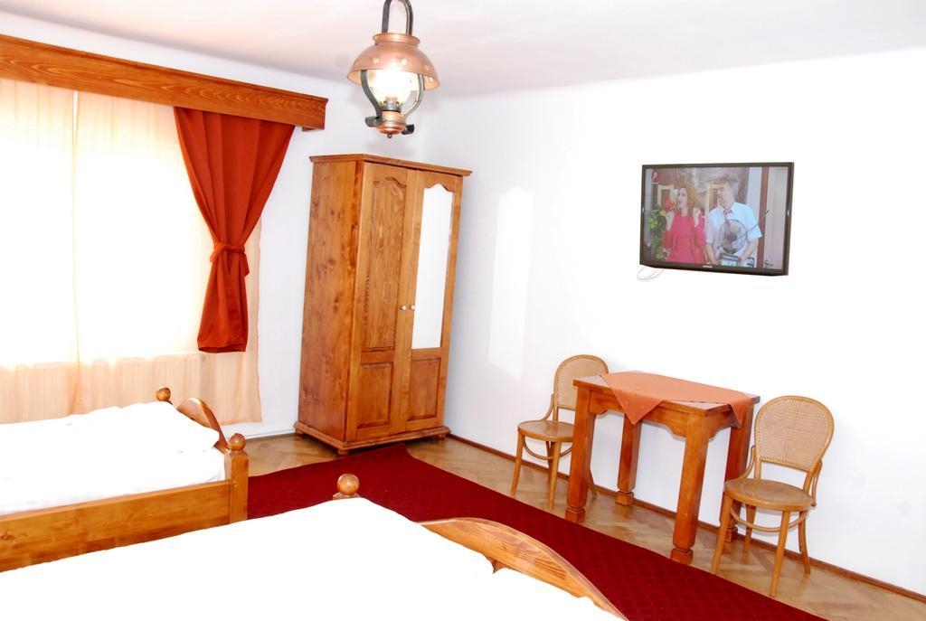 Hotel Vila Nicoleta à Sibiu Extérieur photo