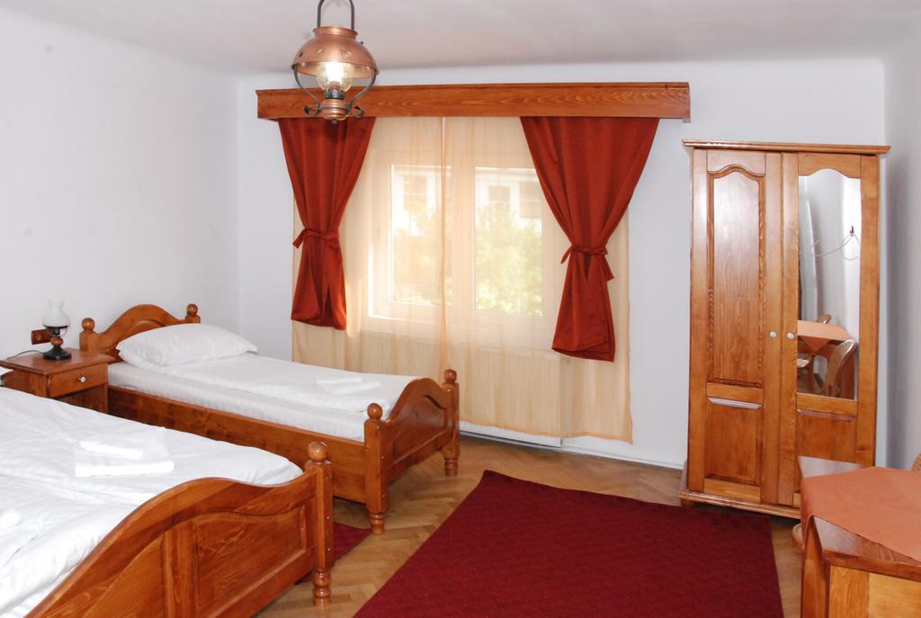 Hotel Vila Nicoleta à Sibiu Extérieur photo