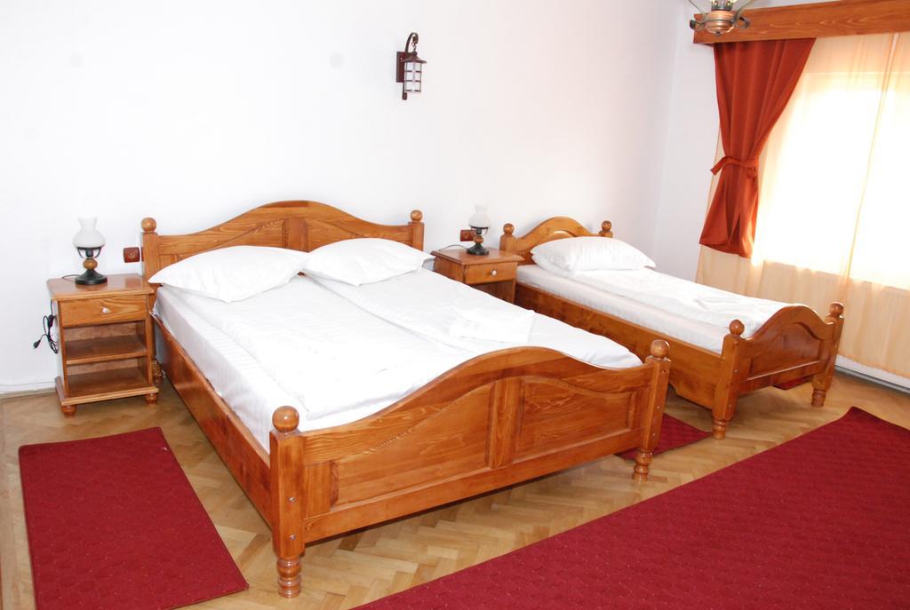 Hotel Vila Nicoleta à Sibiu Extérieur photo