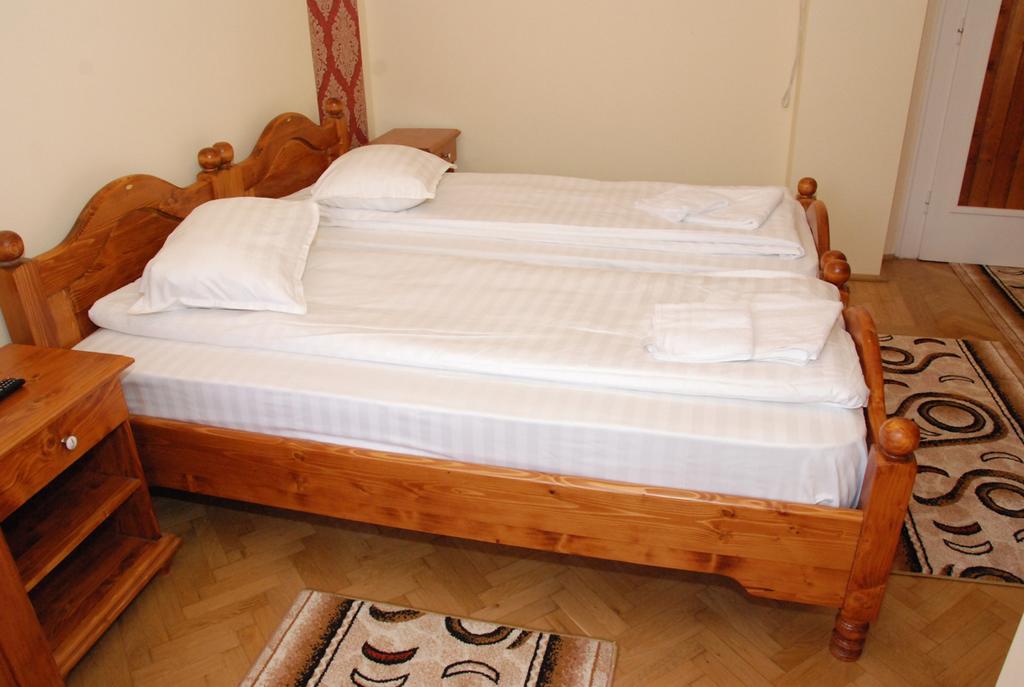 Hotel Vila Nicoleta à Sibiu Extérieur photo
