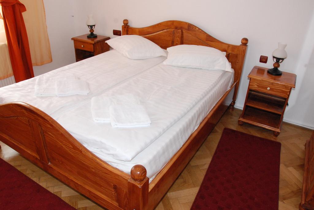 Hotel Vila Nicoleta à Sibiu Extérieur photo