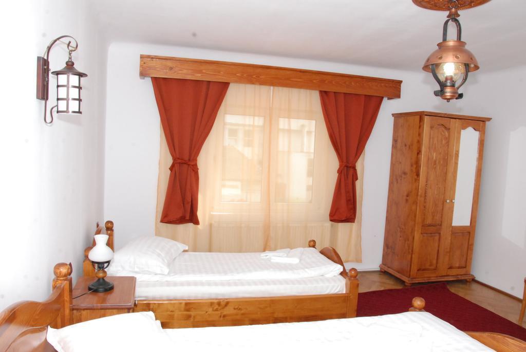 Hotel Vila Nicoleta à Sibiu Extérieur photo